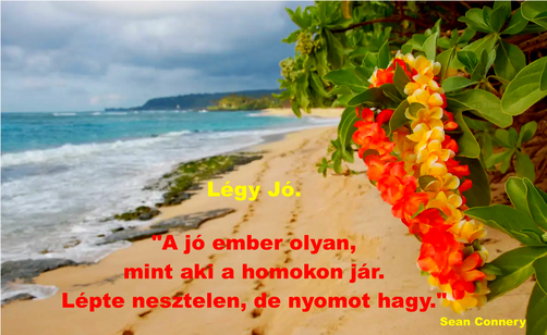 Pánsíp Gyűjtemény – versillusztráció a Verses Könyvben