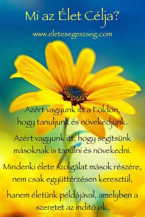 Fekete Rigó – versillusztráció a Verses Könyvben