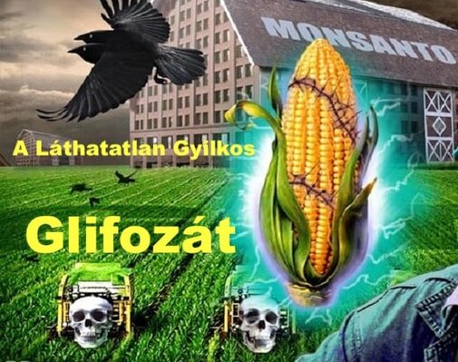 Emlékezés – versillusztráció a Verses Könyvben